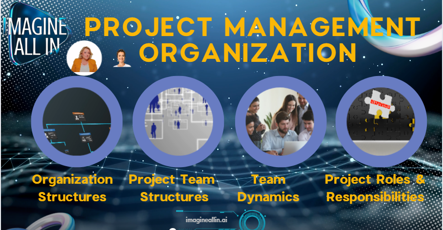 Project Management Organization - End Chaos!