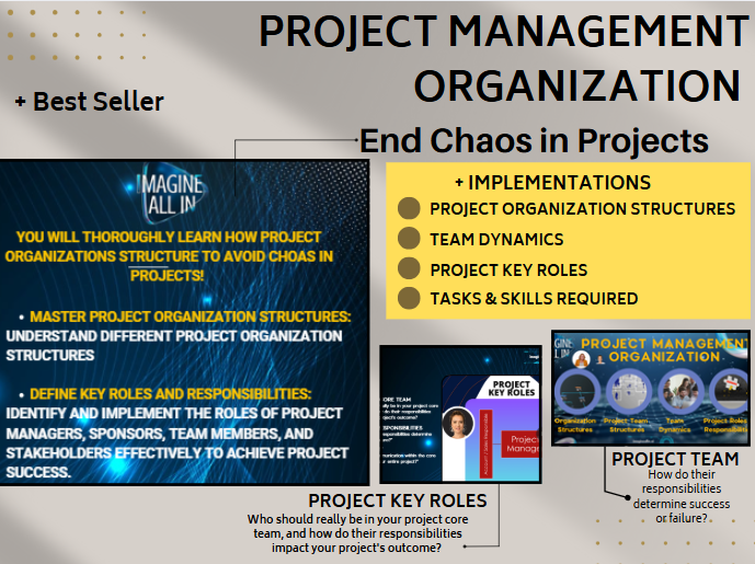 Project Management Organization - End Chaos!